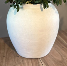 Load image into Gallery viewer, Fibre clay vase/pot