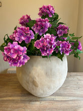 Load image into Gallery viewer, The Phoebe pink potted Hydrangea
