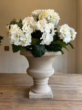 Load image into Gallery viewer, The Alexa ivory potted hydrangea.
