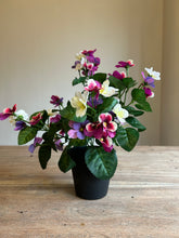 Load image into Gallery viewer, The Georgie
