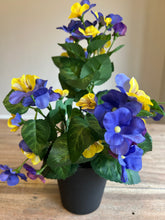 Load image into Gallery viewer, The Izzy potted purple pansy,
