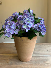 Load image into Gallery viewer, The Vivienne purple potted hydrangea
