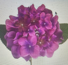Load image into Gallery viewer, The Phoebe hanging basket (preorder)
